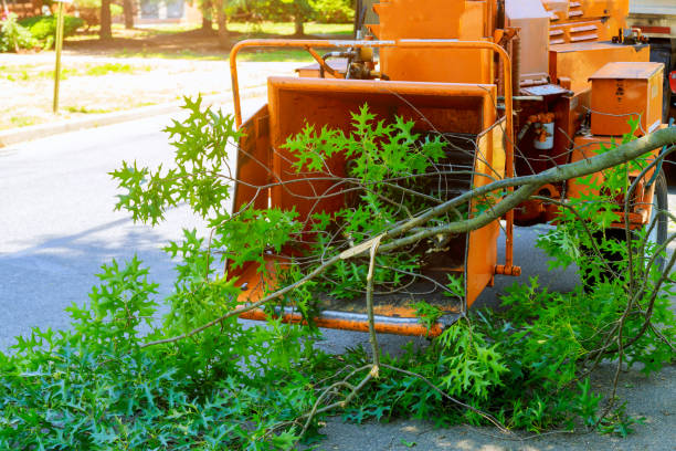 Best Landscape Design and Installation  in Dysart, IA