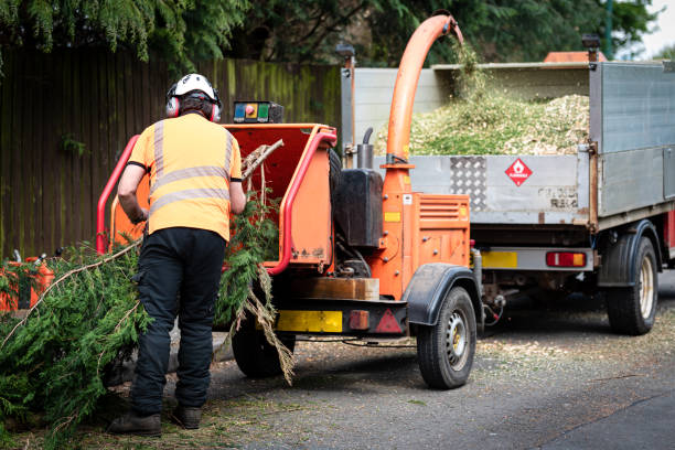 How Our Tree Care Process Works  in  Dysart, IA