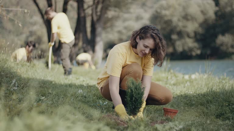 Best Stump Grinding and Removal  in Dysart, IA