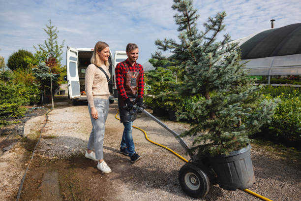 Best Tree Mulching  in Dysart, IA